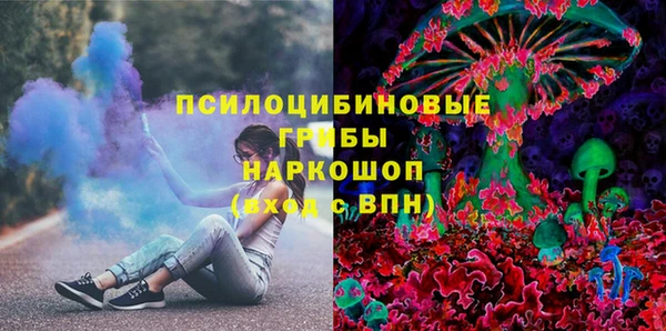тгк Медвежьегорск