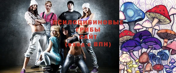 бошки Медногорск