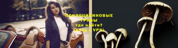 тгк Медвежьегорск