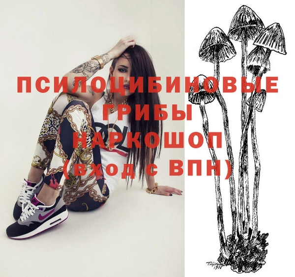бошки Медногорск