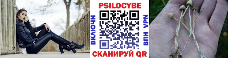 Псилоцибиновые грибы прущие грибы  гидра рабочий сайт  Дегтярск 